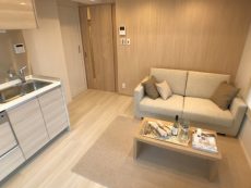 両国ダイヤハイツ ＬＤ