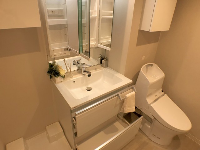 両国ダイヤハイツ 洗面