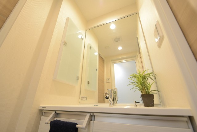 ライオンズマンション中野弥生町 洗面