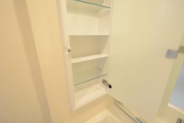 ライオンズマンション中野弥生町 洗面