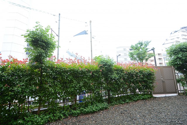 ライオンズマンション中野弥生町 バルコニー