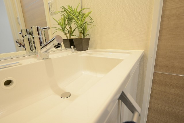 ライオンズマンション中野弥生町 洗面