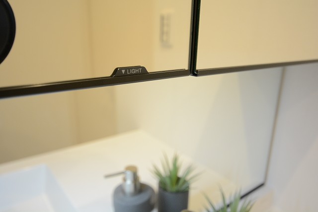 藤和目黒ホームズ 洗面