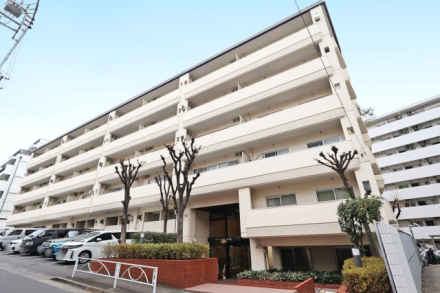 ゾンネンハイム大橋 外観