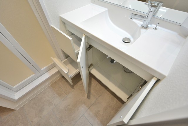 秀和第一南平台レジデンス 洗面台