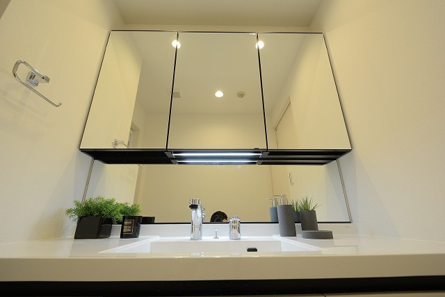 藤和目黒ホームズ 洗面