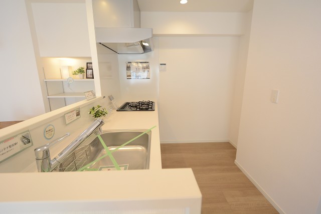 牛込ハイマンション (43)