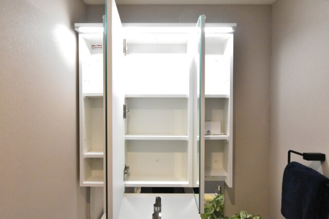 赤坂ロイヤルマンション 洗面室