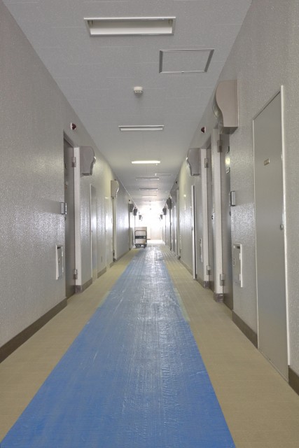 ゾンネンハイム大橋