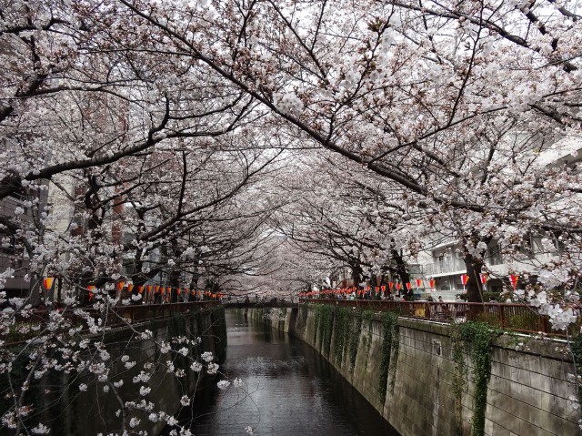 ガラ・シティ中目黒