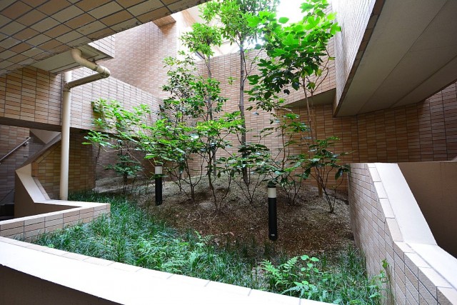 クローバー六本木　植栽