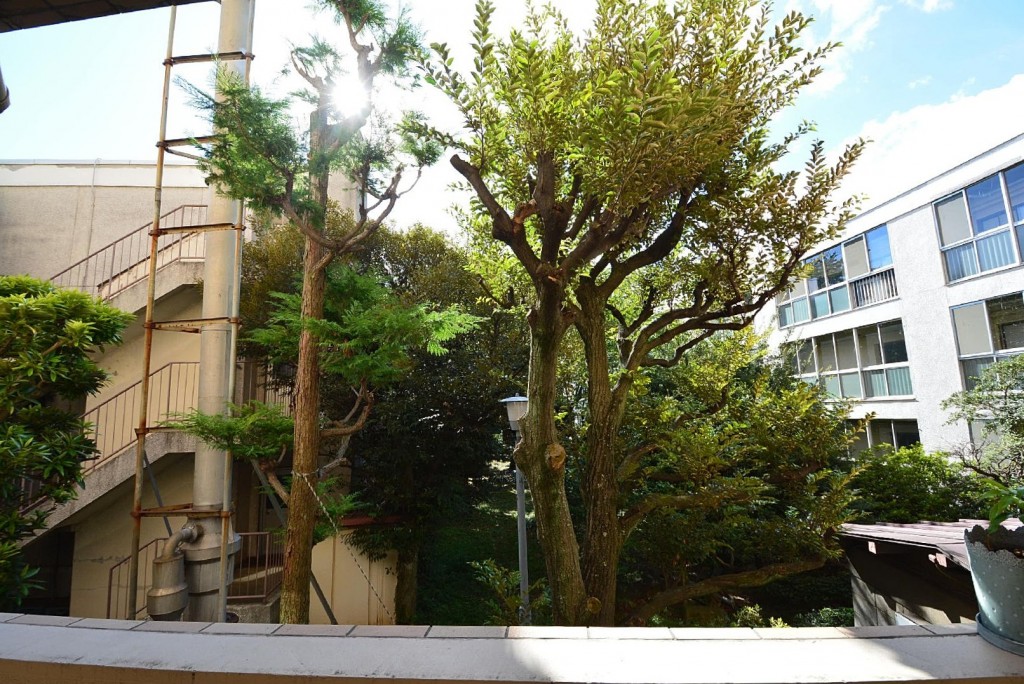 クローバー六本木　植栽