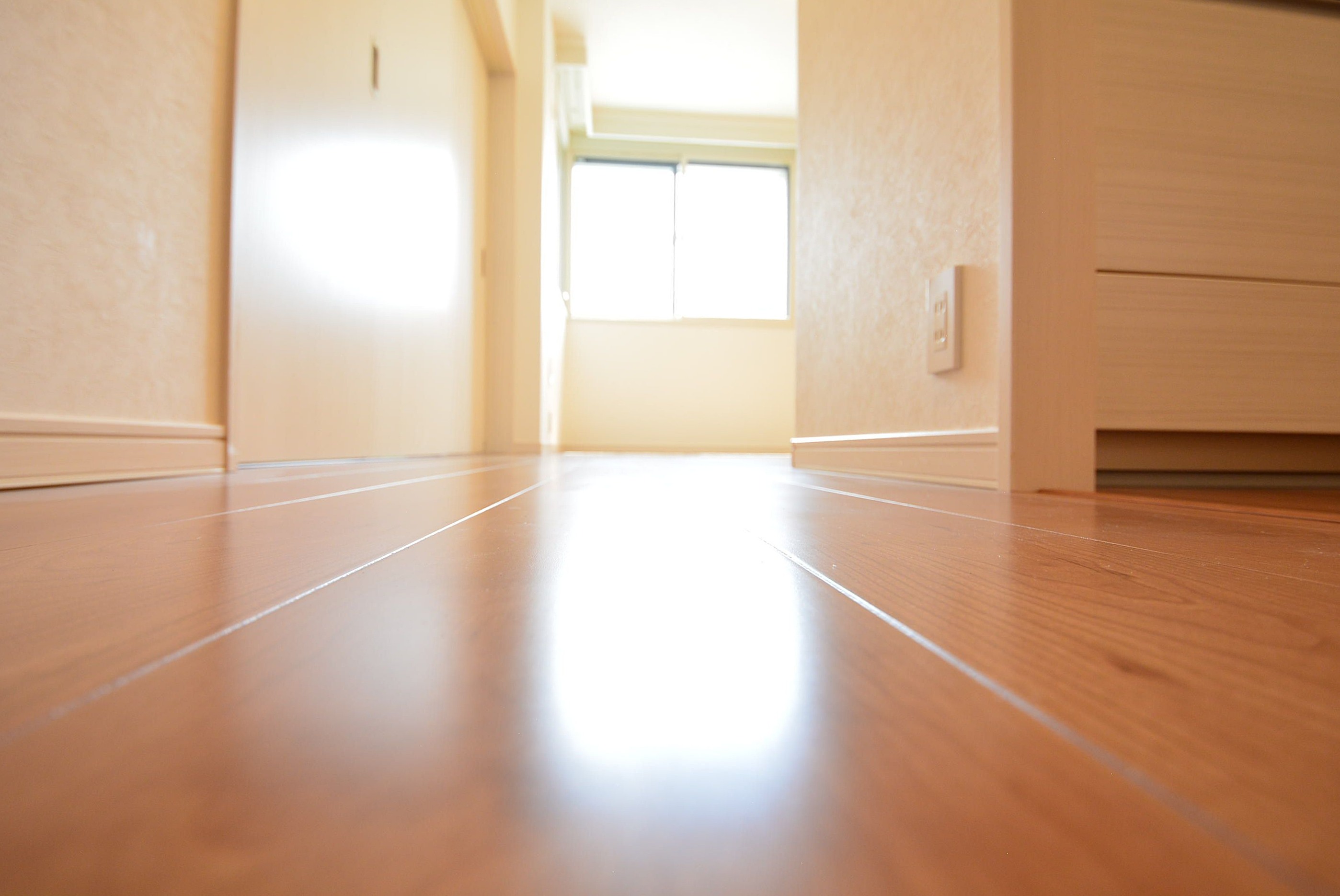 スカーラ品川戸越スカイタワー