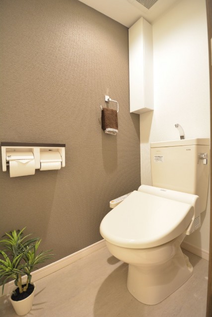 秀和第一南平台レジデンス401