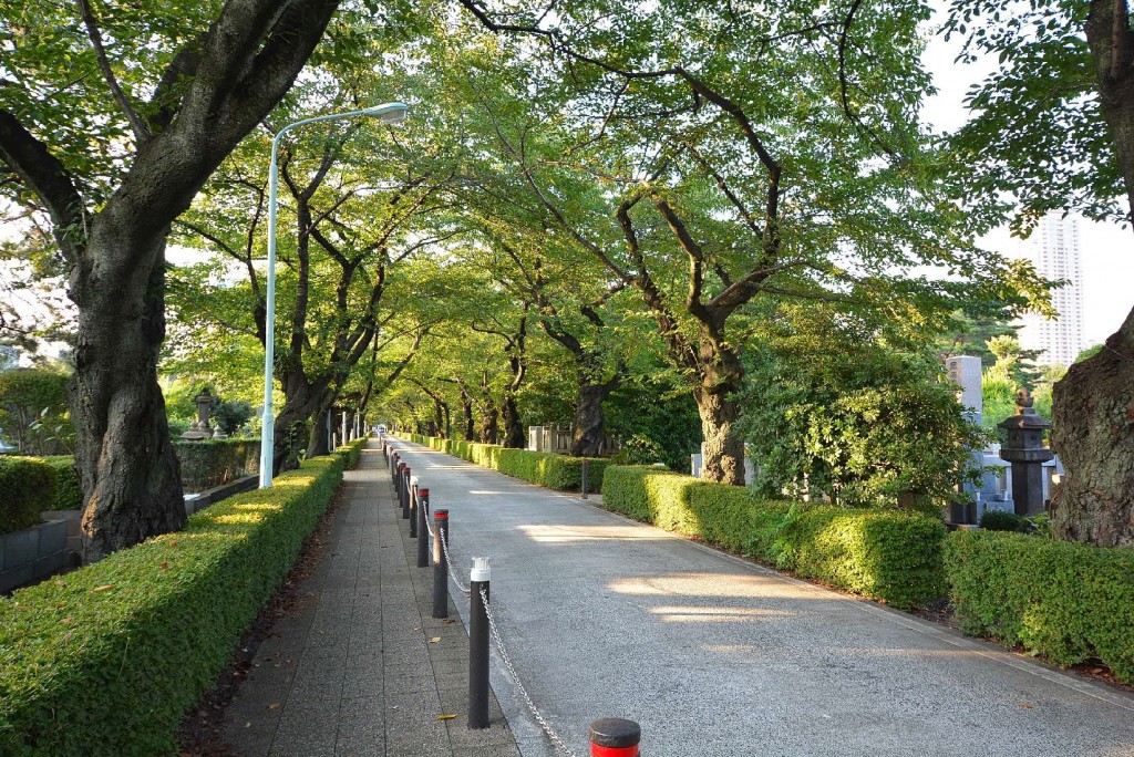 赤坂ロイヤルマンション　周辺環境