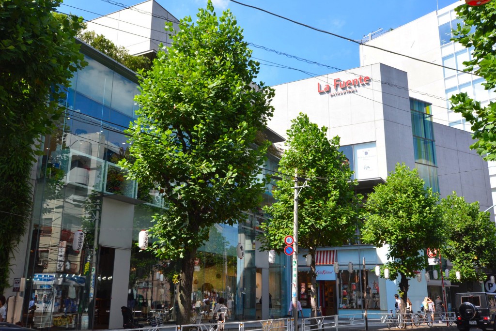 代官山マンション　周辺