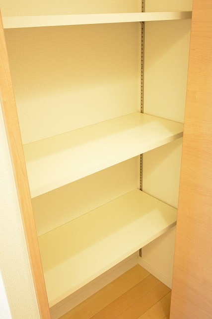 ライオンズマンション学芸大学　ダイニングキッチン内の物入れ308