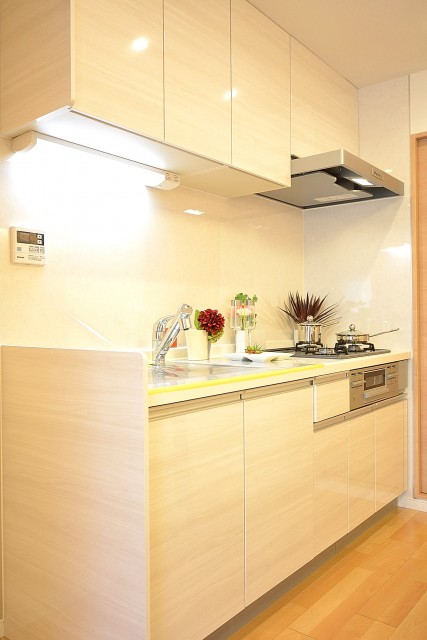 ライオンズマンション学芸大学　システムキッチン308