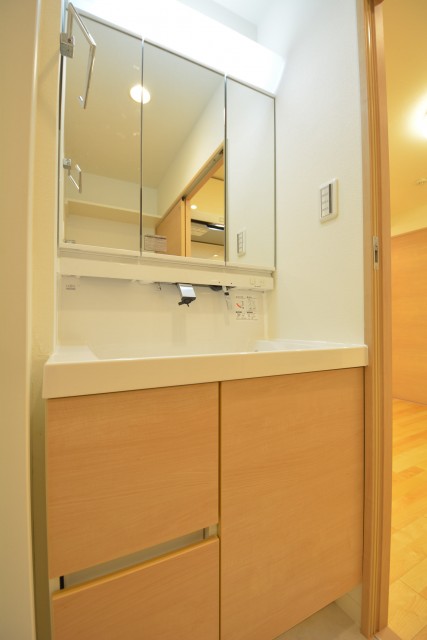 ライオンズマンション学芸大学　洗面化粧台