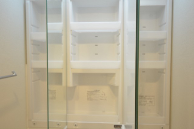 ライオンズマンション学芸大学　洗面化粧台