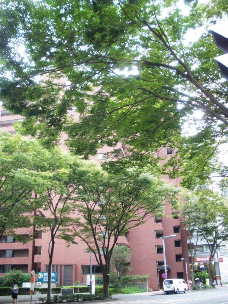 ファミール西新宿