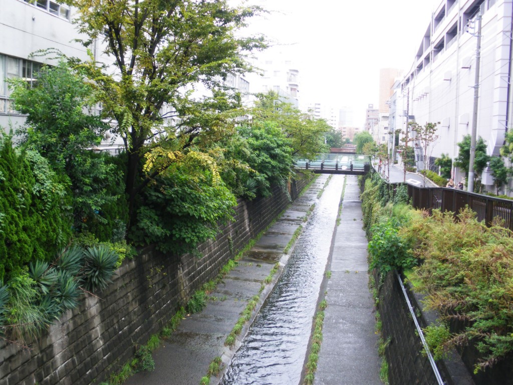 ファミールヒルズ中野南台