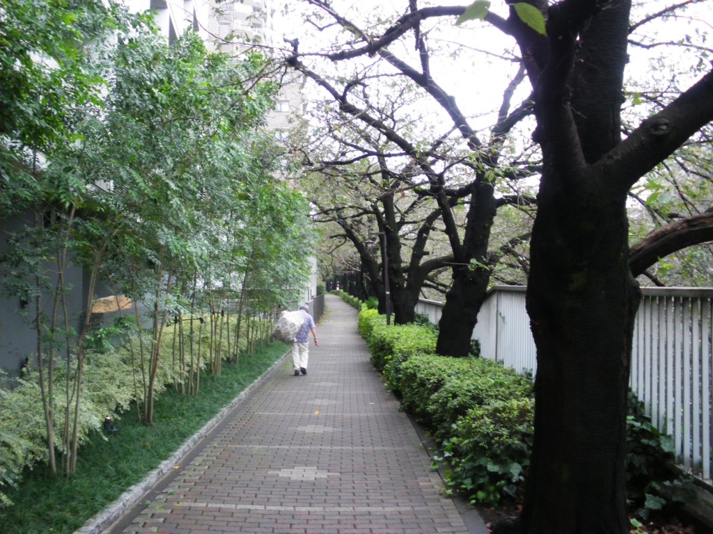 藤和シティホームズ西早稲田　周辺