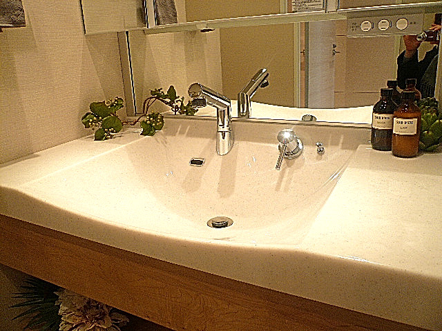 代官山マンション　おしゃれな洗面ボウル。602