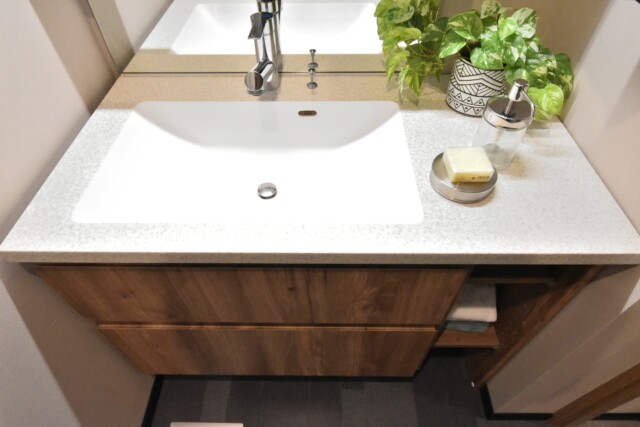 赤坂ロイヤルマンション 洗面室