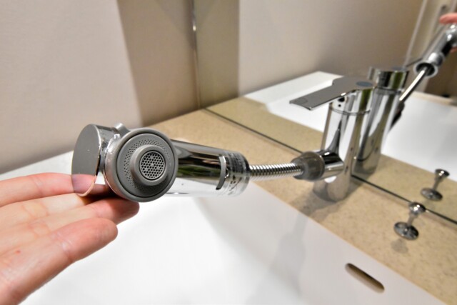 赤坂ロイヤルマンション 洗面室