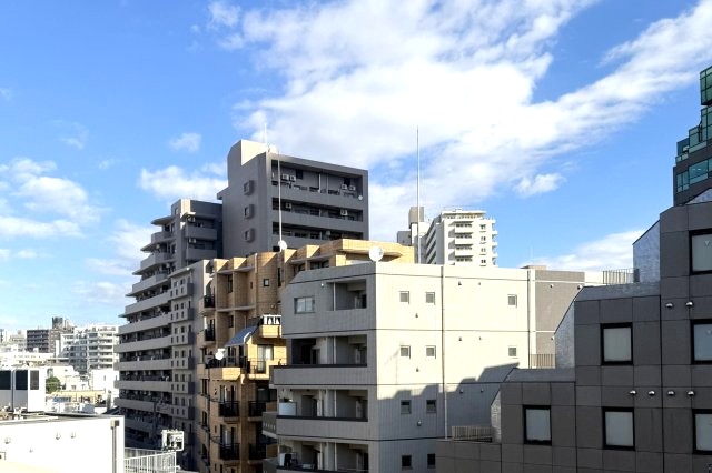 ゾンネンハイム大橋 眺望
