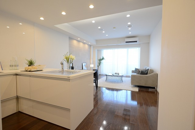 藤和目黒ホームズ LD