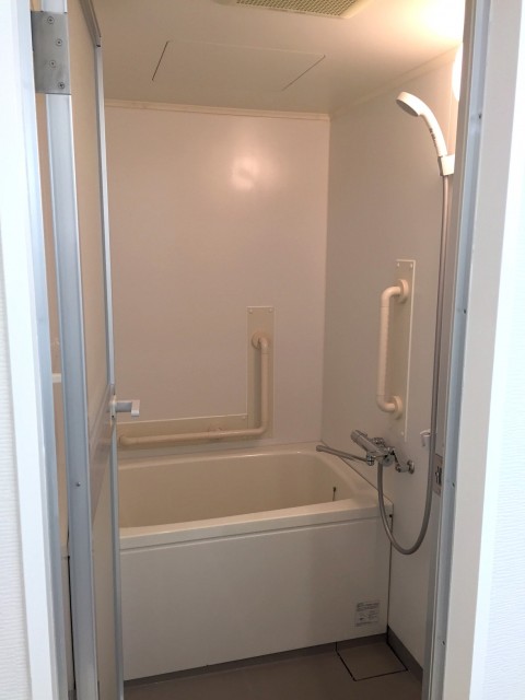 ライオンズマンショングリーン白金