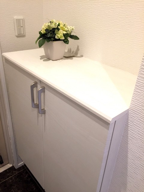 ライオンズマンショングリーン白金