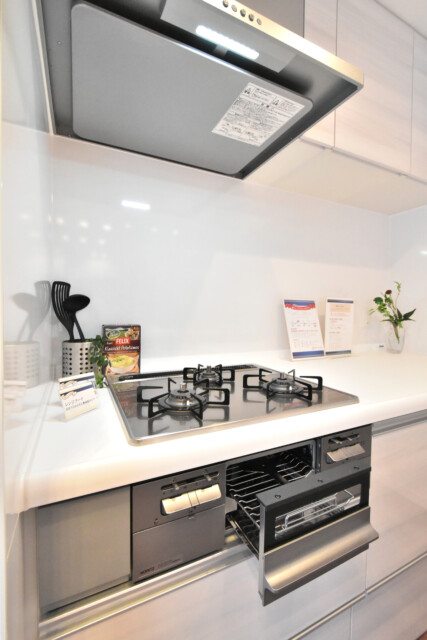 藤和三田コープⅡ (33)キッチン