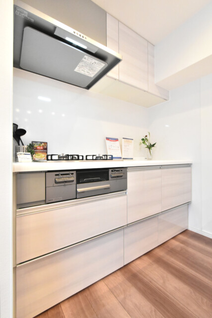 藤和三田コープⅡ (22)キッチン