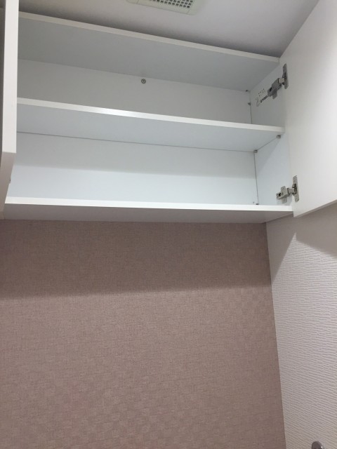 ライオンズマンショングリーン白金