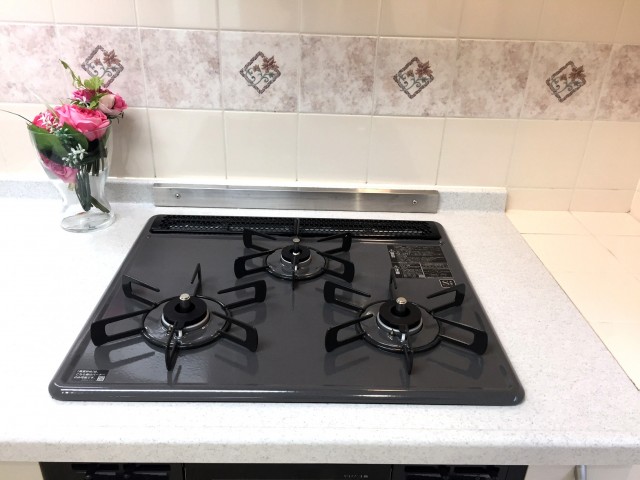 ライオンズマンショングリーン白金