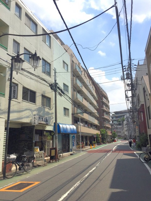 ライオンズマンショングリーン白金