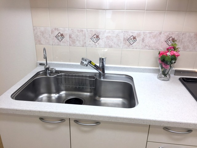 ライオンズマンショングリーン白金