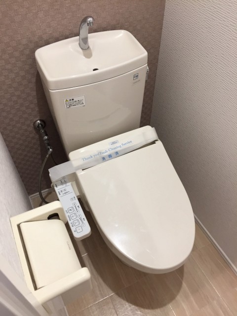 ライオンズマンショングリーン白金