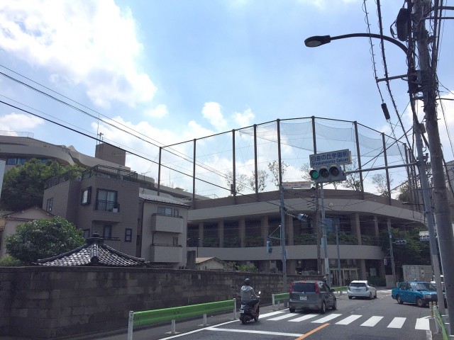 ライオンズマンショングリーン白金