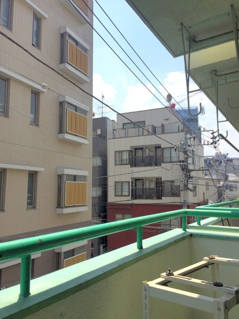 ライオンズマンショングリーン白金