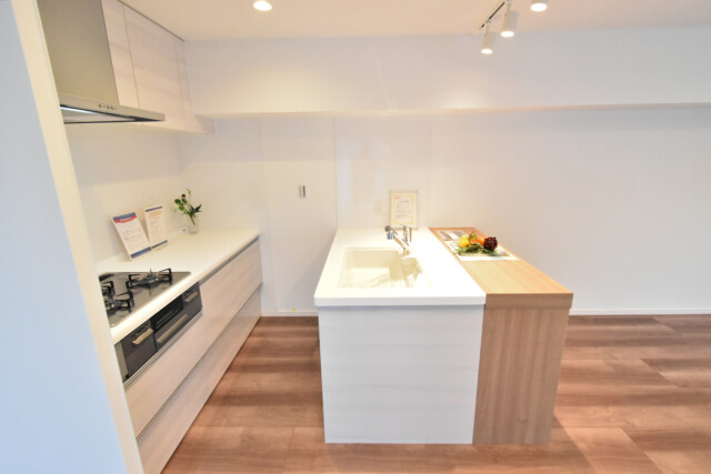 藤和三田コープⅡ (21)キッチン