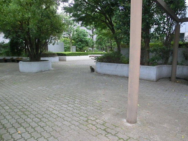 クオス銀座エスト・トロワジェーム　周辺環境