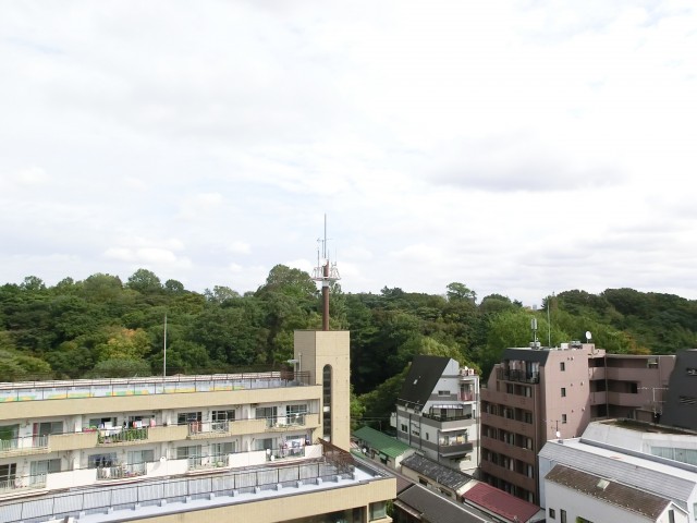 タイガー小石川ハイツ