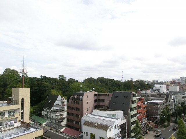 タイガー小石川ハイツ