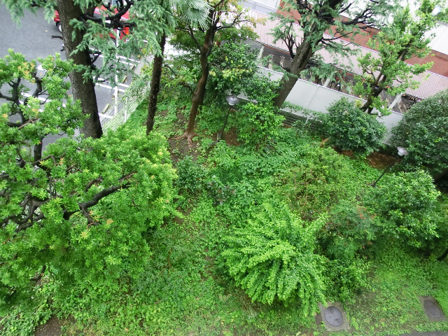 牛込中央マンション　バルコニーからの眺望