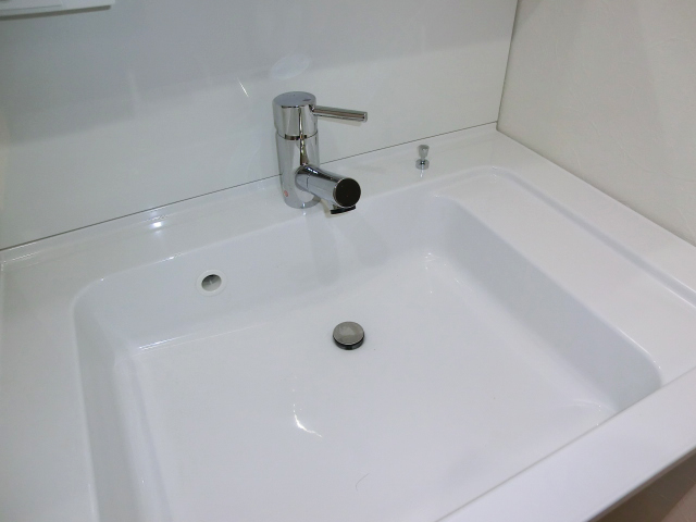 広々洗面ボウル