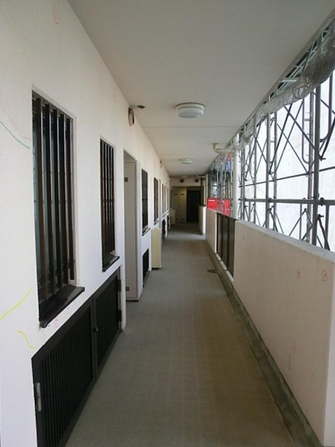 AMAX横浜　　共用廊下